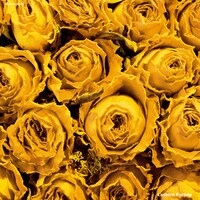 Lantern Parade 2ndアルバム「Lantern Parade」ジャケット