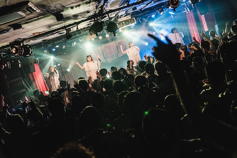 Malcolm Mask McLarenによるライブの様子。