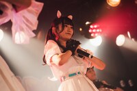 Devil ANTHEM.によるライブの様子。