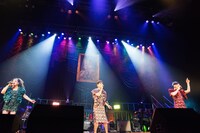 星屑スキャット