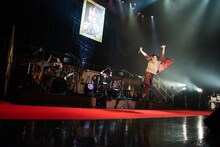 ジャンプする堂島孝平。