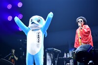 イルカの吉尾くんとレキシ。（撮影：岸田哲平）