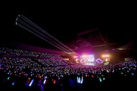 Knight A - 騎士A -「The Night」の様子。