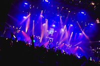 GO TO THE BEDS（撮影：大橋祐希）