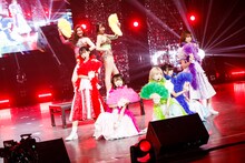 豆柴の大群「FLASH（バブル Ver.）feat. ベッド・イン」披露時の様子。（Photo by sotobayashi kenta）