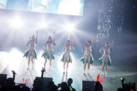 豆柴の大群（Photo by sotobayashi kenta）