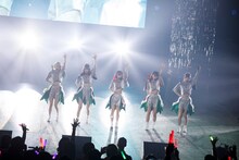 豆柴の大群（Photo by sotobayashi kenta）