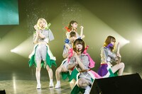 豆柴の大群（Photo by sotobayashi kenta）