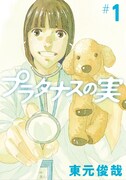 「プラタナスの実」1巻表紙