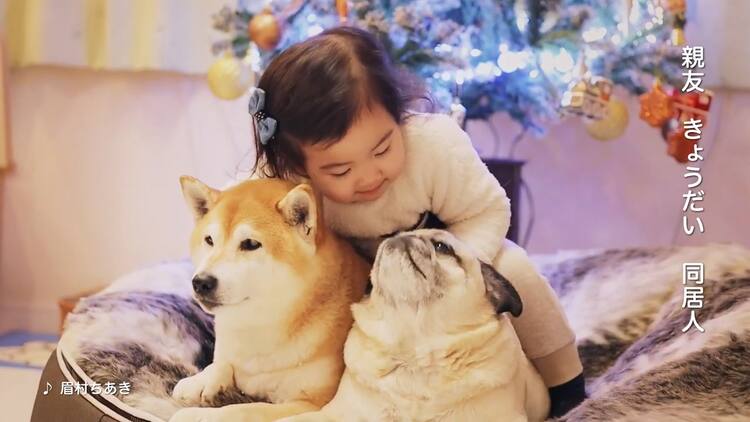 眉村ちあき 犬猫フードのcmにペット愛あふれる新曲提供 コメントあり 動画あり 音楽ナタリー