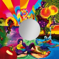 岡村靖幸「家庭教師」アナログ盤ジャケット