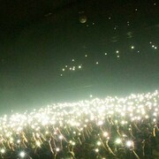 忘れらんねえよ「夢に出てくんな」配信ジャケット