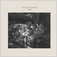 揺らぎ「For you, Adroit it but soft」ジャケット