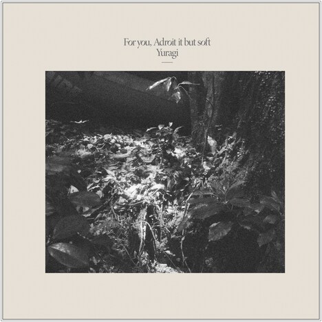 揺らぎ「For you, Adroit it but soft」ジャケット