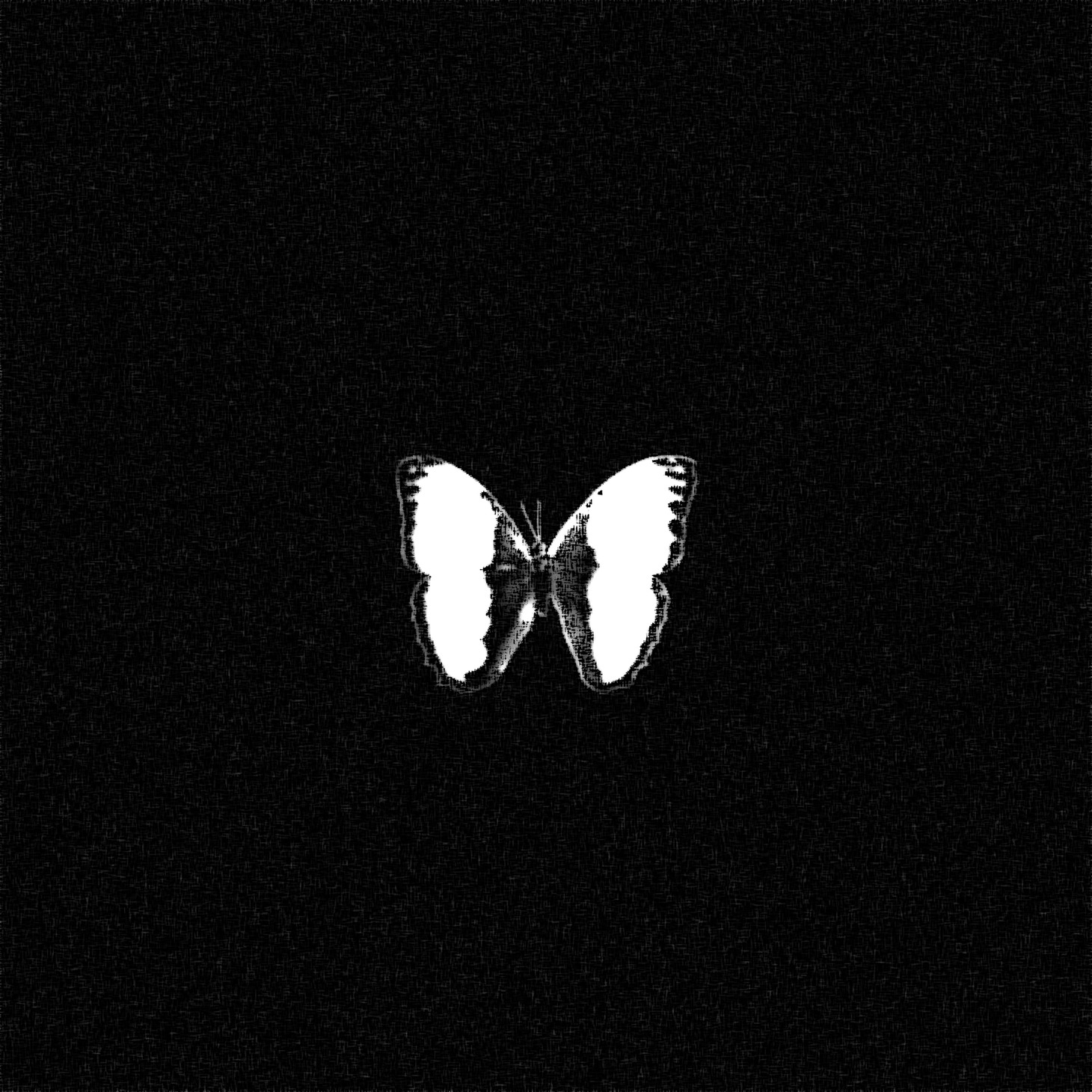 Lil'Yukichi「May I... feat.antihoney」配信ジャケット