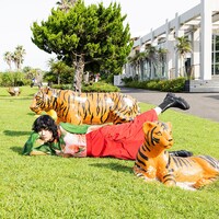 あいみょん「ハート」ジャケット