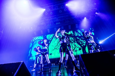 MIGMA SHELTER（Photo by Masayo）