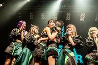 ミミミユと抱き合うブラジルとそれを見守るレーレ、ナーナナラ、ユブネ、タマネ。（Photo by Masayo）