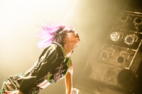 レーレ（Photo by Masayo）