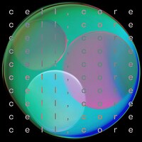 リーガルリリー「cell,core」フライヤー