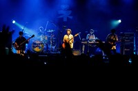 ネクライトーキー（撮影：橋本塁）