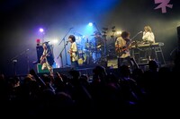 ネクライトーキー（撮影：橋本塁）