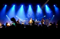 ネクライトーキー（撮影：橋本塁）