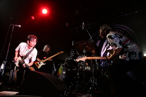 ZAZEN BOYS（撮影：菊池茂夫）