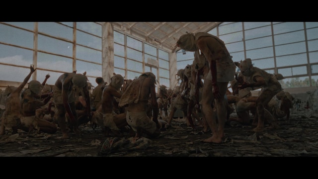 ドミコ「血を嫌い肉を好む」ミュージックビデオより。