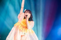 へそ（撮影：曽我美芽）