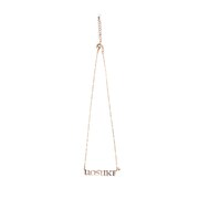 atmos pink×学芸大青春コラボネームネックレス