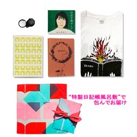 橋本絵莉子「日記を燃やして」豪華盤展開イメージ
