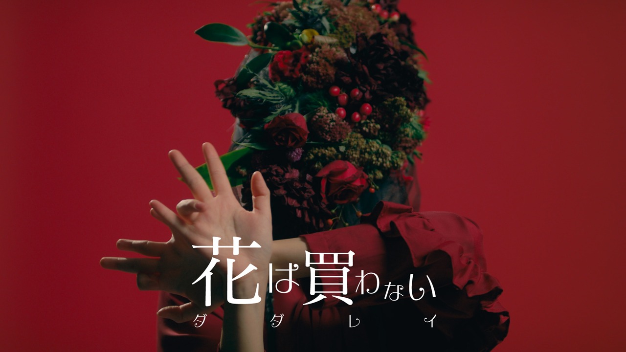 DADARAY「花は買わない」ミュージックビデオのサムネイル。