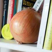 ZOMBIE-CHANG「PaRappa the Gabber」リリース、ジャケはタマネギ先生オマージュ