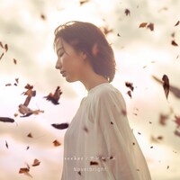 Novelbright「seeker / ワンルーム」通常盤ジャケット