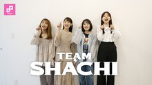 TEAM SHACHI