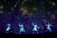 TEAM SHACHI「OVER THE HORIZON～はちゃめちゃ！パシフィコ！～」の様子。