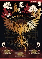 手羽先センセーション「画鳥点睛」フライヤー