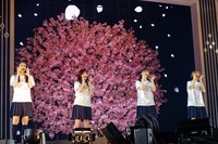櫻坂46（撮影：上山陽介）