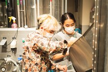 クラフトビールの仕込みをするThe fin.。