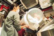 クラフトビールの仕込みをするThe fin.。