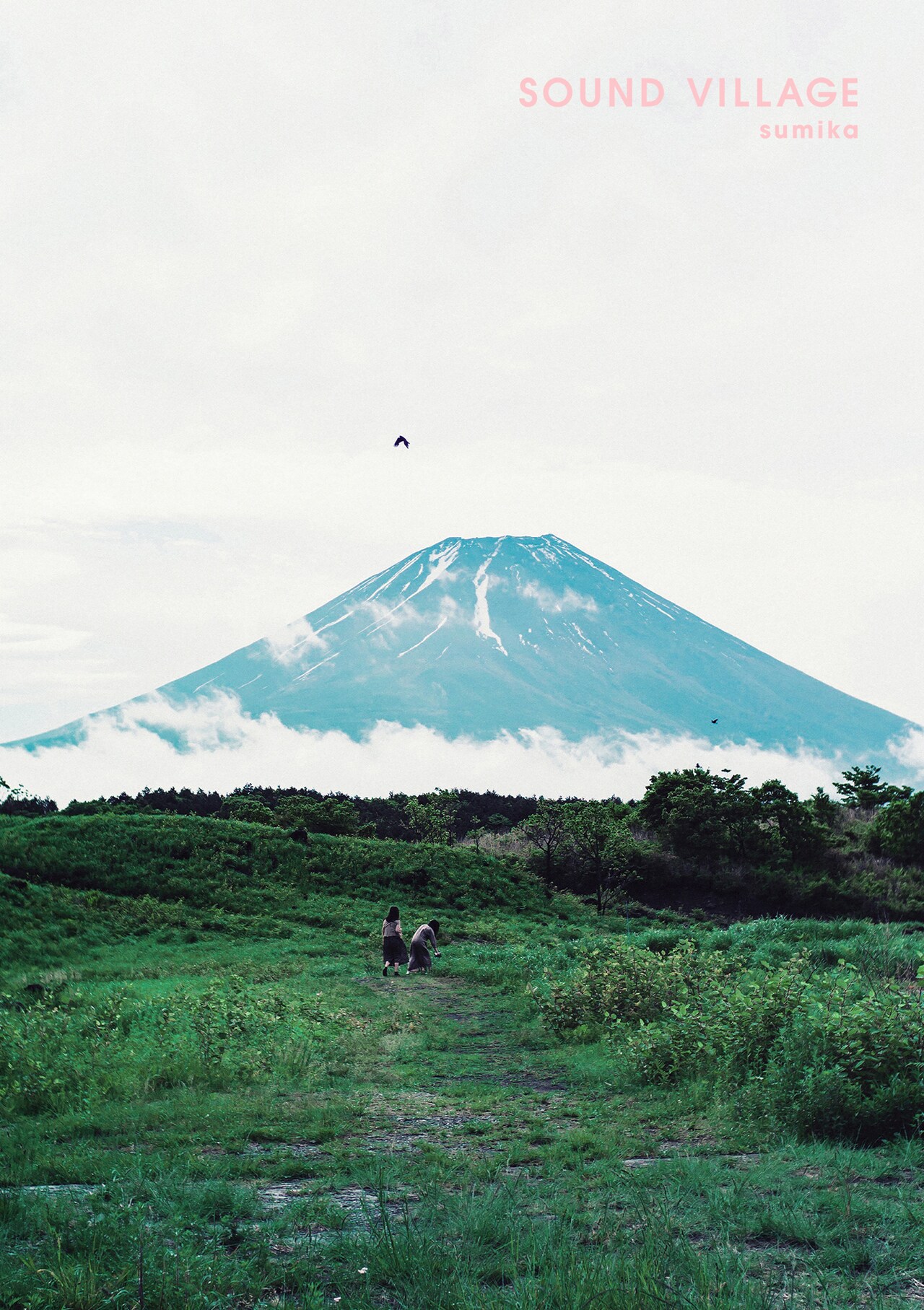 邦楽 banbi sound garden sumika banbi CD