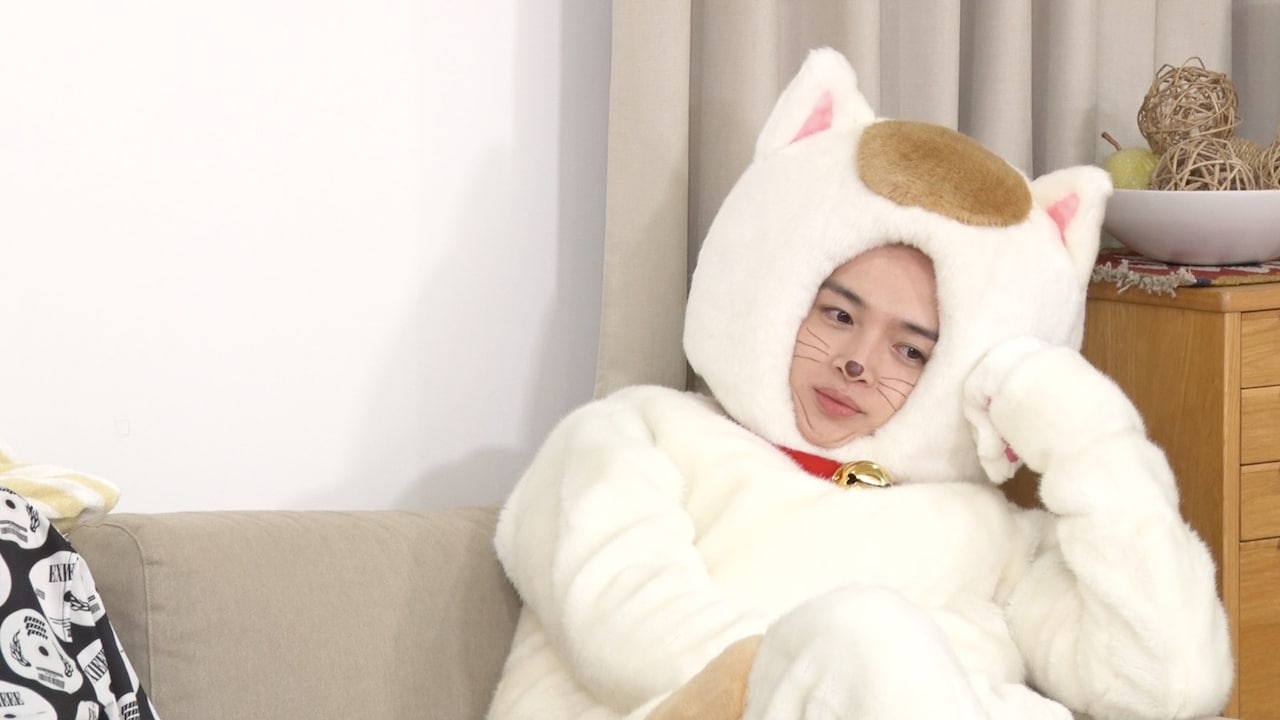 猫になった玉森裕太、大好きな“トシ子”のためにがんばる（コメントあり