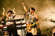 左から長谷川大喜（Key, Cho）、はっとり（Vo, G）。（撮影：酒井ダイスケ）