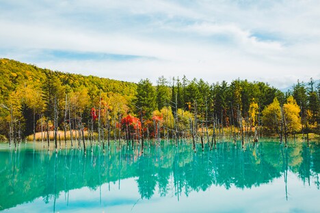 白金青い池 (c)UHB