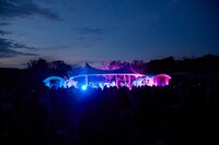 「YEN TOWN BAND SPECIAL LIVE in KURKKU FIELDS」の様子。