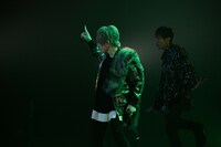 うらたぬき（撮影：小松陽祐 / ODD JOB、堀卓朗 / ELENORE）