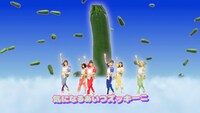 豆柴の大群「柏木由紀なりの豆柴の大群 -ずっと気になるズッキーニ-」ミュージックビデオより。