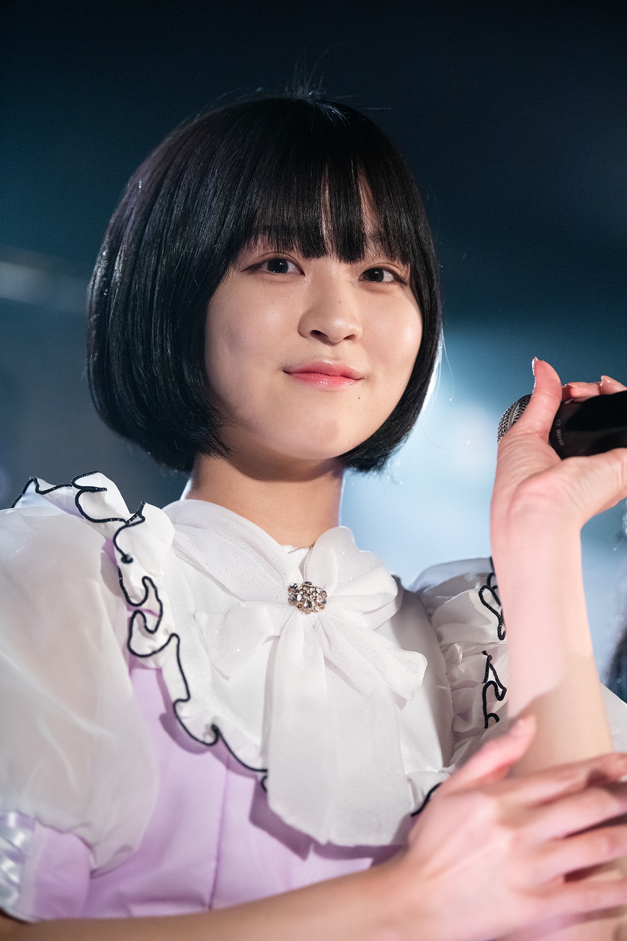 吉乃椿