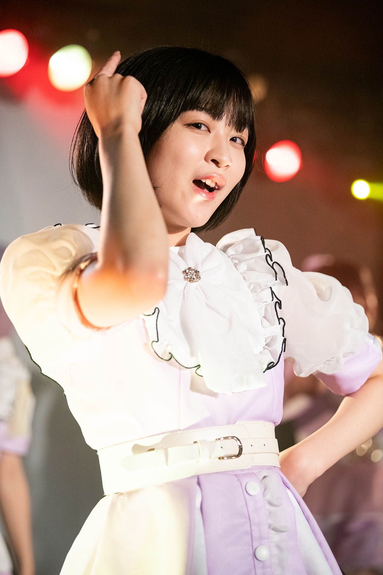 吉乃椿